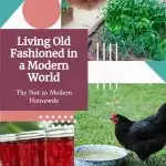living old fashioned in a modern world | The Not So Modern Housewife