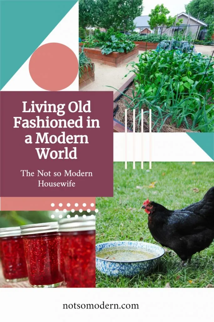 living old fashioned in a modern world | The Not so Modern Housewife