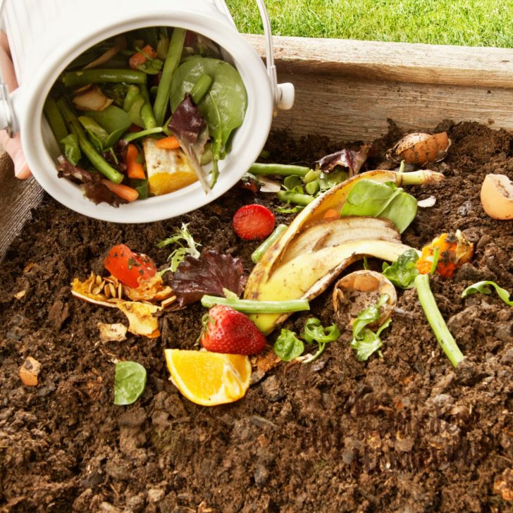 kitchen scraps in compost bin - how to compost - understanding the basics of composting