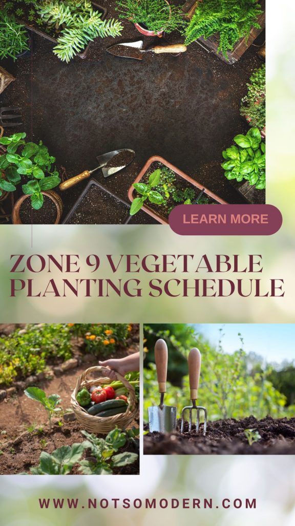 Zone 9 Vegetable Planting Schedule - What to Plant in March in Florida