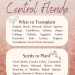 What to Plant in September: Central Florida