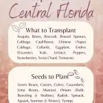 What to Plant in September: Central Florida
