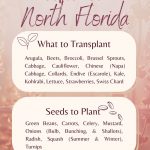 What to Plant in September: North Florida