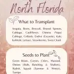 What to Plant in September: North Florida