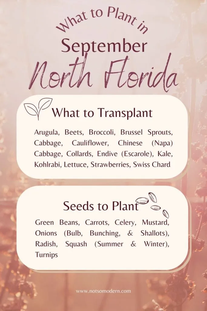 What to Plant in September: North Florida