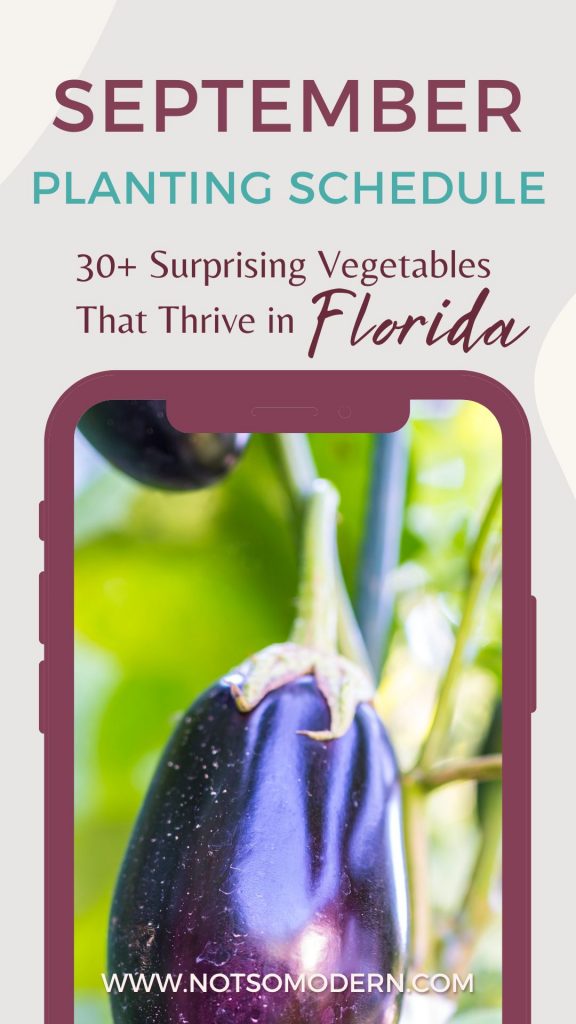 September Planting Schedule: 30+ Surprising Vegetables That Thrive in Florida