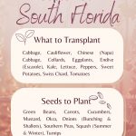 What to Plant in September: South Florida