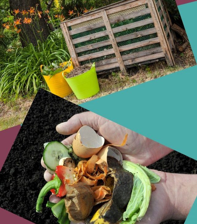 hands holding kitchen food waste - wood compost bin by the garden