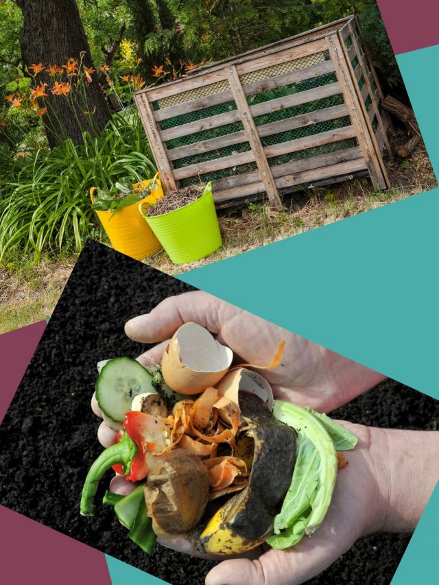 How to Create Your Own Compost
