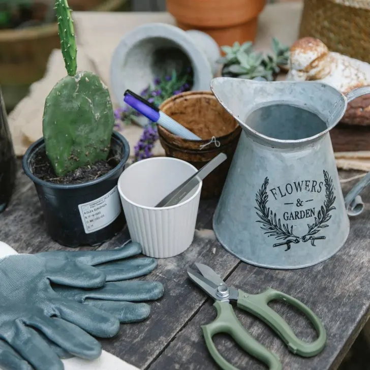 gardening tools and supplies - Christmas gift ideas for housewives